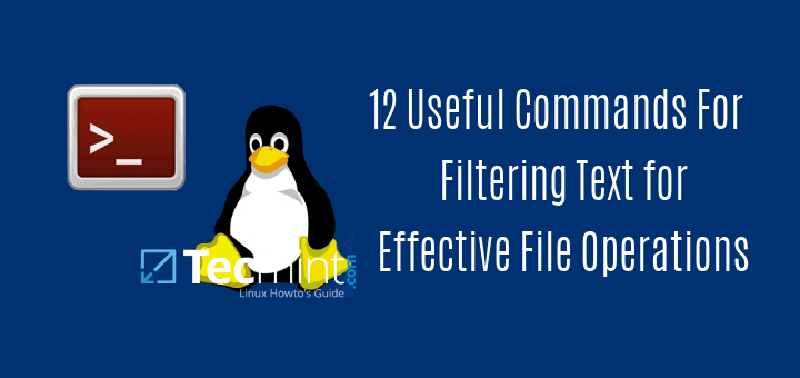 Useful Commands For Effective File Operations in Linux